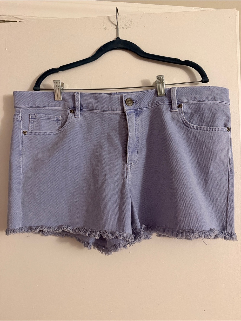 LOFT Light Blue Denim Cutoff Shorts with Frayed Hem